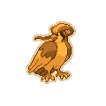 Gold Pidgeot